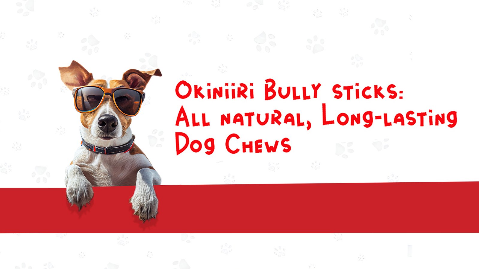 Natural Bully Sticks for Dogs - Long-Lasting, Healthy Dog Chews Made in the USA